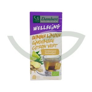 Thé Gingembre Citron Vert 20 Sachets 40g Damhert Nutrition Thé Maroc