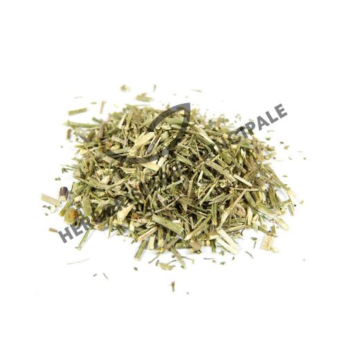 Plante Médicinale Erysimum Velard Sisymbrium Officinal Partie aérienne coupée 100g soulage la toux Maroc