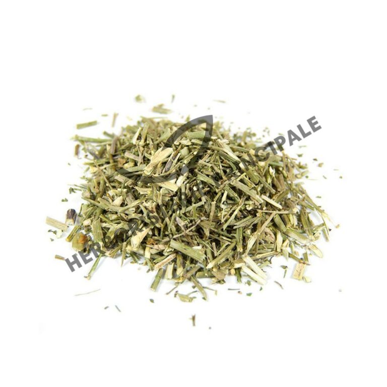 Plante Médicinale Erysimum Velard Sisymbrium Officinal Partie aérienne coupée 100g soulage la toux Maroc