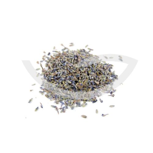 Plante Médicinale Lavande Lavandula Vera Fleur triée 100 apaisante Maroc Plante Médicinale Lavande Lavandula Vera Fleur triée 100 apaisante Maroc