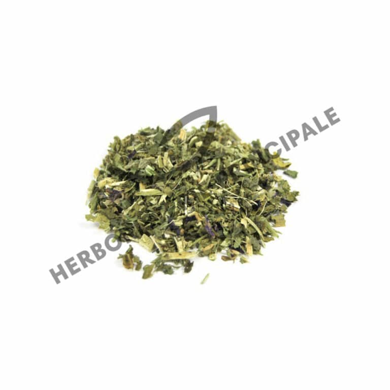 Plante Médicinale Mauve Bio Malva Sylvestris Feuille coupée 100 g Maroc Plante Médicinale Mauve Bio Malva Sylvestris Feuille coupée 100 g Maroc