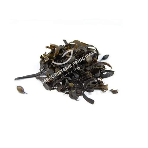Fruits de Gattilier séchés Vitex Agnus Castus Herboristerie Principale 100g