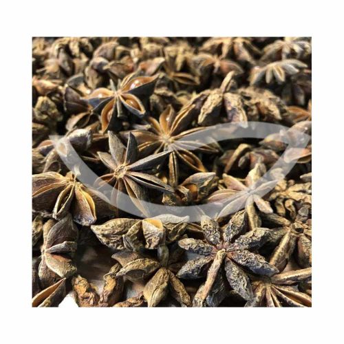 Plante Médicinale Badianier de Chine Anis étoilé Illicium Verum Fruit entier 100g Troubles Gastro-Intestinaux Maroc Plante Médicinale Badianier de Chine Anis étoilé Illicium Verum Fruit entier 100g Troubles Gastro-Intestinaux Maroc