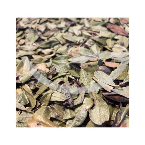 Plante Médicinale Busserole Arctostaphylos Uva ursi Feuille entière100 g Traiter les Cystites Maroc