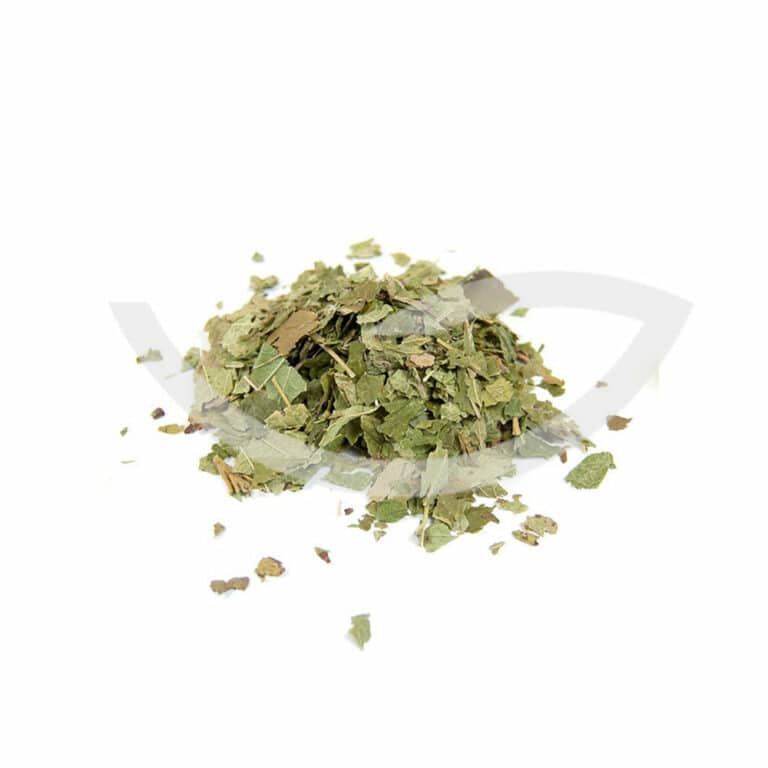 Plante Médicinale Cassis Ribes Nigrum Feuille coupée 100g bénéfiques pour les reins, la rate, le pancréas et le foie Maroc