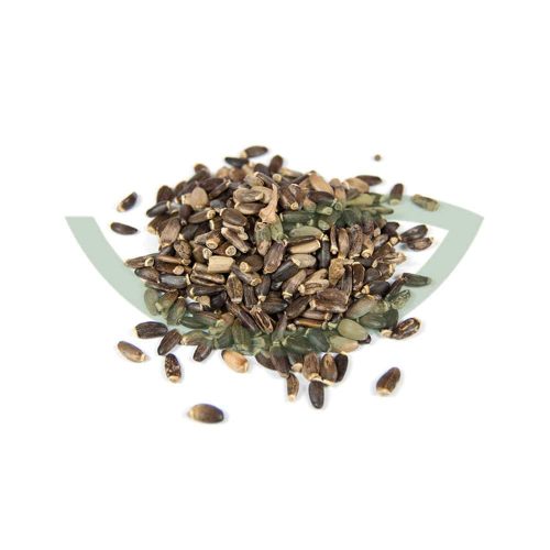 Plante Médicinale Chardon Marie Silybum Marianum Fruit 100 g la favorisation de la résistance et de la bonne convalescence du foie Maroc