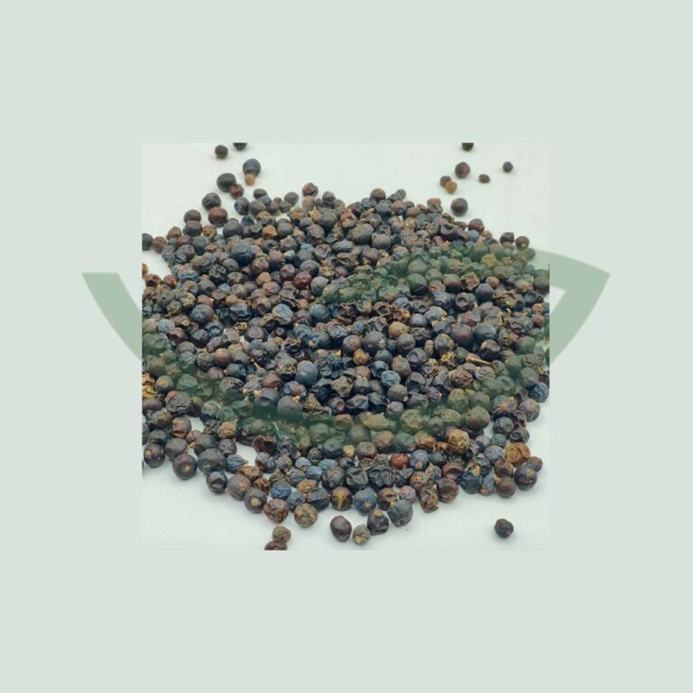 Plante Médicinale Genévrier Juniperus Communis Baie coupée 100g anti-inflammatoire et antibactérienne Maroc