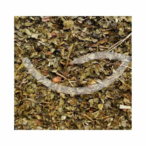 Plante Médicinale Hamamélis Hamamelis Virginiana Feuille coupée 100g propriétés analgésiques, hémostatiques, astringentes et anti-infectieuses Maroc Plante Médicinale Hamamélis Hamamelis Virginiana Feuille coupée 100g propriétés analgésiques, hémostatiques, astringentes et anti-infectieuses Maroc