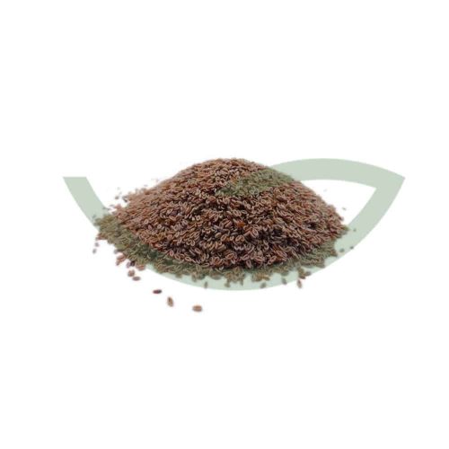 Plante Médicinale Ispaghul Plantago Ovata Graine 100g bonne pour la santé du coeur Maroc