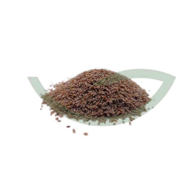 Plante Médicinale Ispaghul Plantago Ovata Graine 100g bonne pour la santé du coeur Maroc