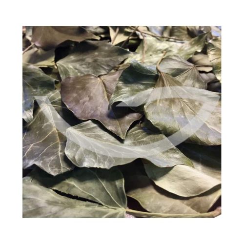 Plante Médicinale Lierre Grimpant Hedera Helix Feuille 100g un remède pour les règles douloureuses Maroc Plante Médicinale Lierre Grimpant Hedera Helix Feuille 100g un remède pour les règles douloureuses Maroc