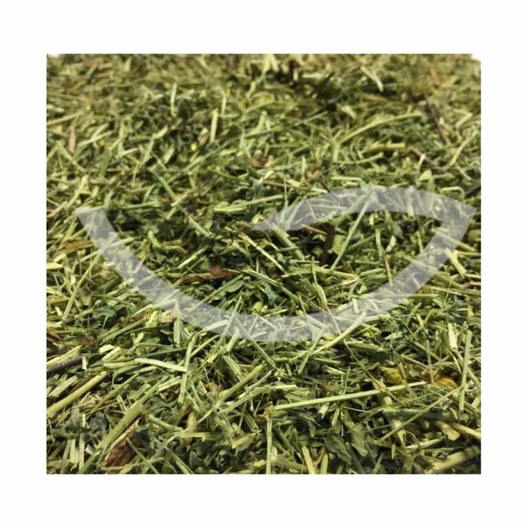 Plante Médicinale Lotier Corniculé Lotus Corniculatus Partie aérienne 100 g le traitement de l'anxiété persistante et chronique Maroc
