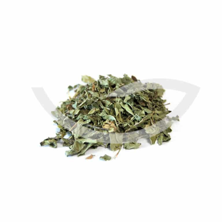 Plante Médicinale Origan Origanum Vulgare Feuille coupée 100g Prévenir le cancer Maroc Plante Médicinale Origan Origanum Vulgare Feuille coupée 100g Prévenir le cancer Maroc
