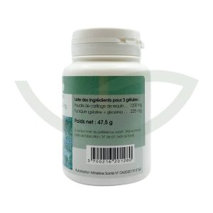 Cartilage de requin 100 gélules 400 mg GPH Diffusion confort articulaire Maroc Cartilage de requin 100 gélules 400 mg GPH Diffusion confort articulaire Maroc