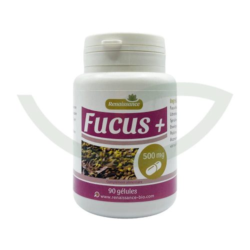 Algue Fucus 100 Gélules 330mg GPH Perte de Poids Maroc