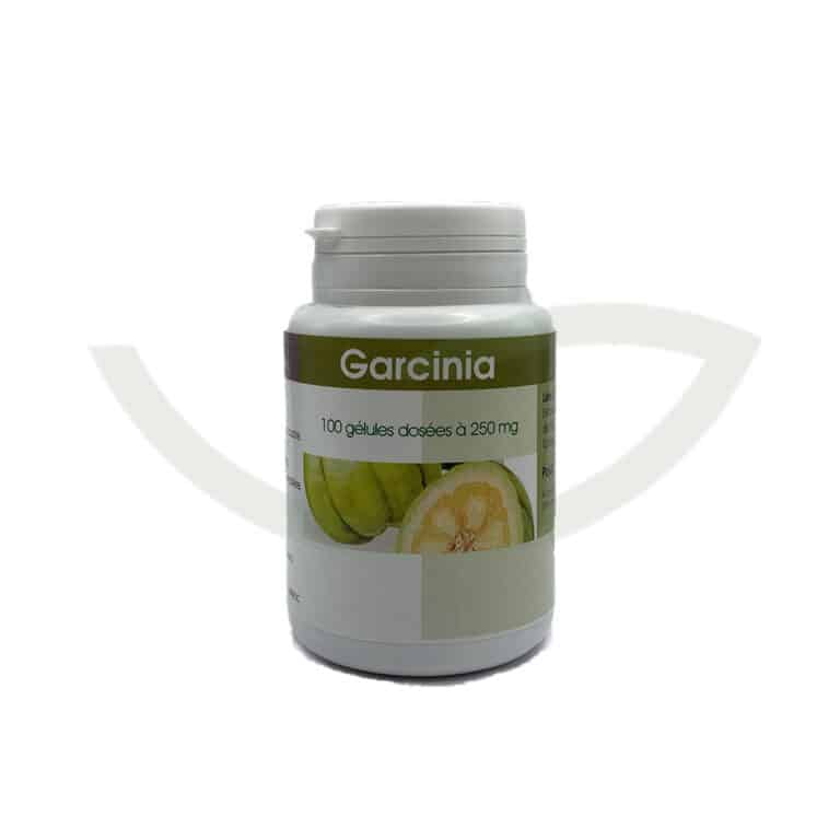 Garcinia 100 gélules 250 mg GPH Diffusion Minceur Maroc Garcinia 100 gélules 250 mg GPH Diffusion Minceur Maroc