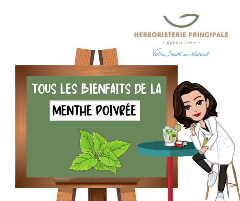 Menthe poivree Menthe poivrée