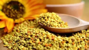 Pollen d'Abeille