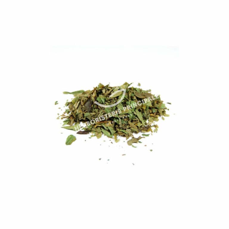 Plante Médicinale Ail des Ours Allium Ursinum Feuille coupée 100g l'hypertension Maroc