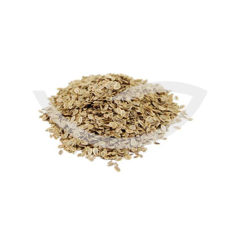 Plante Médicinale Aneth Anethum Graveolens Fruit 100g Intestinale Maroc