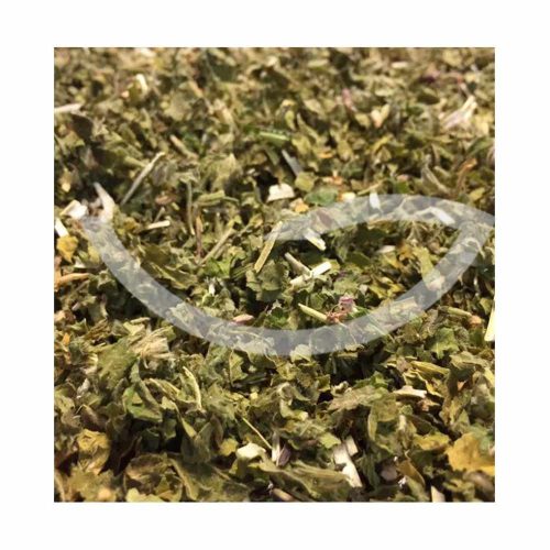 Plante Médicinale Ballote (Marrube noir) Ballota Nigra Partie aérienne coupée 100g Antispasmodique Maroc
