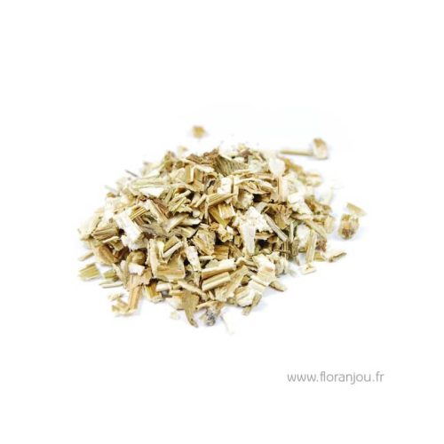 Plante Médicinale Berce Grande Heracleum Sphondylium Partie aérienne 100g Relaxante Maroc