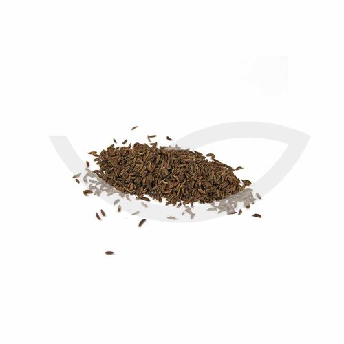 Plante Médicinale Carvi Noir Carum Carvi Fruit 100g Galactogènes Maroc