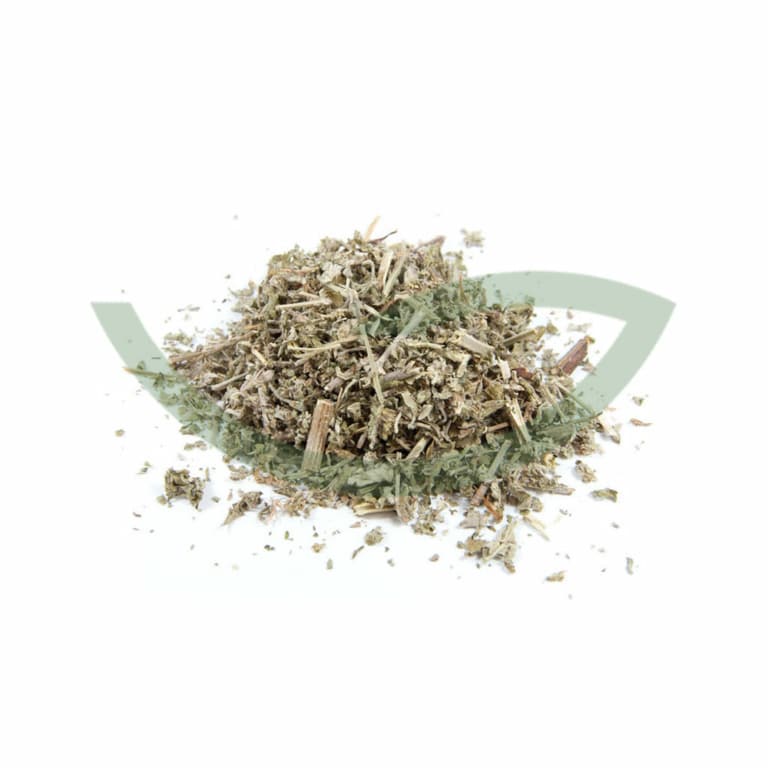 Plante Médicinale Cataire Nepeta Cataria Partie aérienne 100g Diaphorétique Maroc Plante Médicinale Cataire Nepeta Cataria Partie aérienne 100g Diaphorétique Maroc