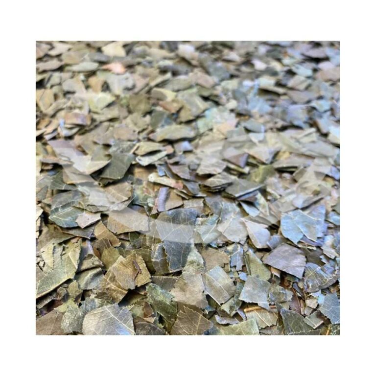 Plante Médicinale Kinkéliba Combretum Micranthum Feuille 100g Antidiabétique Maroc Plante Médicinale Kinkéliba Combretum Micranthum Feuille 100g Antidiabétique Maroc