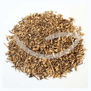 Plante Médicinale Fragon Petit Houx Ruscus Aculeatus Racine coupée 100g veinotonique Maroc