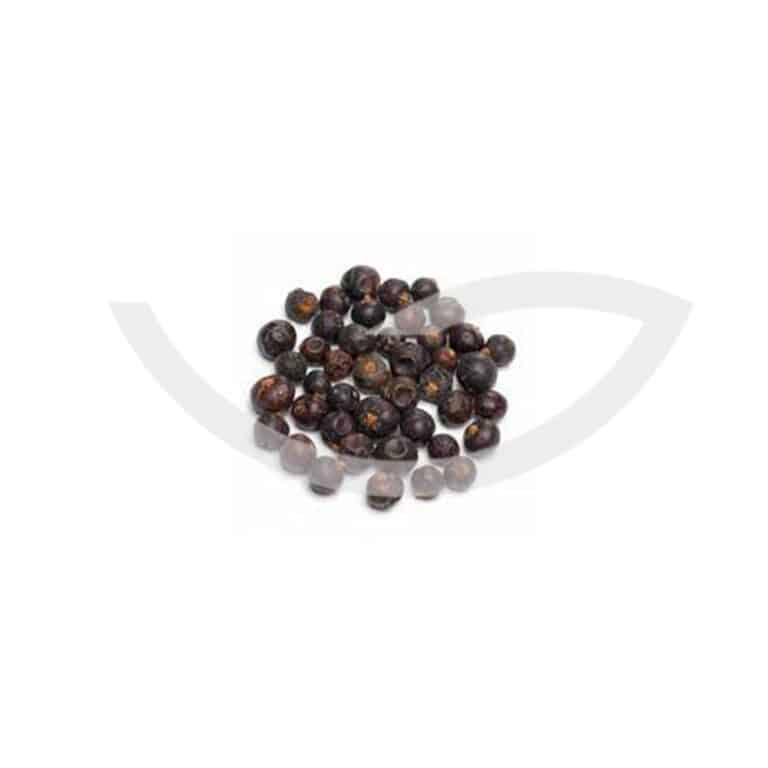 Plante Médicinale Genévrier Juniperus Communis Baie 100g soulager les maladies respiratoires Maroc Plante Médicinale Genévrier Juniperus Communis Baie 100g soulager les maladies respiratoires Maroc