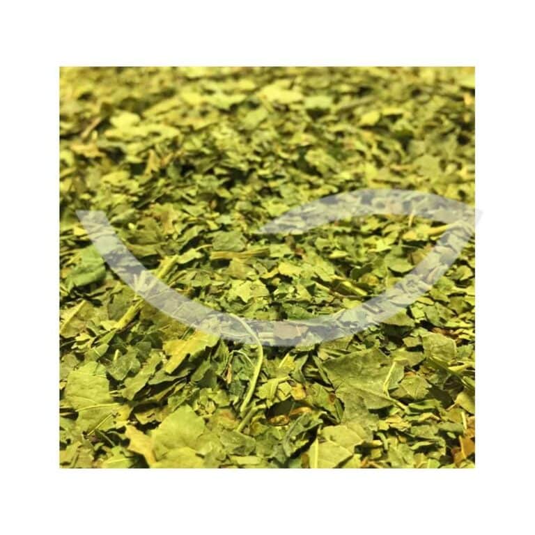 Plante Médicinale Mûrier Morus Alba Feuille coupée 100g antidiabétique Maroc