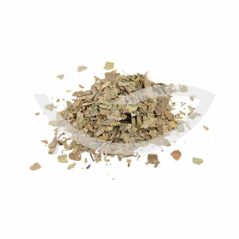 Plante Médicinale Myrtille Vaccinium Myrtillus Feuille coupée 100g cardiovasculaire Maroc