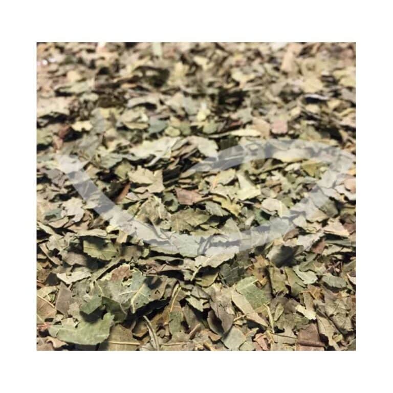Plante Médicinale Noyer Juglans Feuille coupée 100g circulatoire Maroc