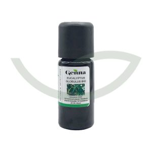 Huile Essentielle Eucalyptus Globulus Bio 10 ml Genna Calmant Maroc