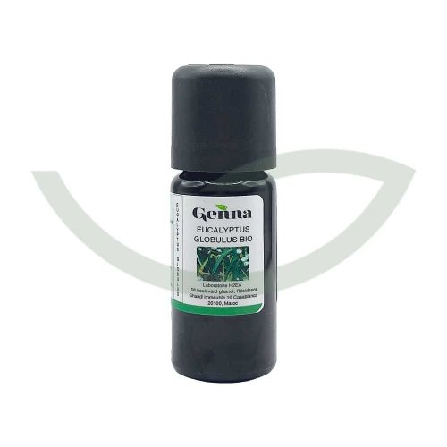 Huile Essentielle Eucalyptus Globulus Bio 10 ml Genna Calmant Maroc Huile Essentielle Eucalyptus Globulus Bio 10 ml Genna Calmant Maroc