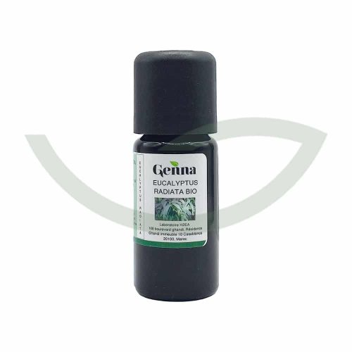 Huile Essentielle Eucalyptus Radiata Bio 10 ml Genna Energisant Maroc Huile Essentielle Eucalyptus Radiata Bio 10 ml Genna Energisant Maroc