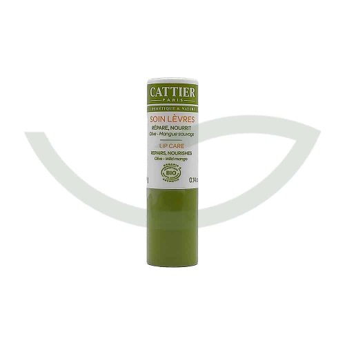 Soin Lèvres Nourrissant Bio 4g Cattier Baume à Lèvres Maroc Soin Lèvres Nourrissant Bio 4g Cattier Baume à Lèvres Maroc