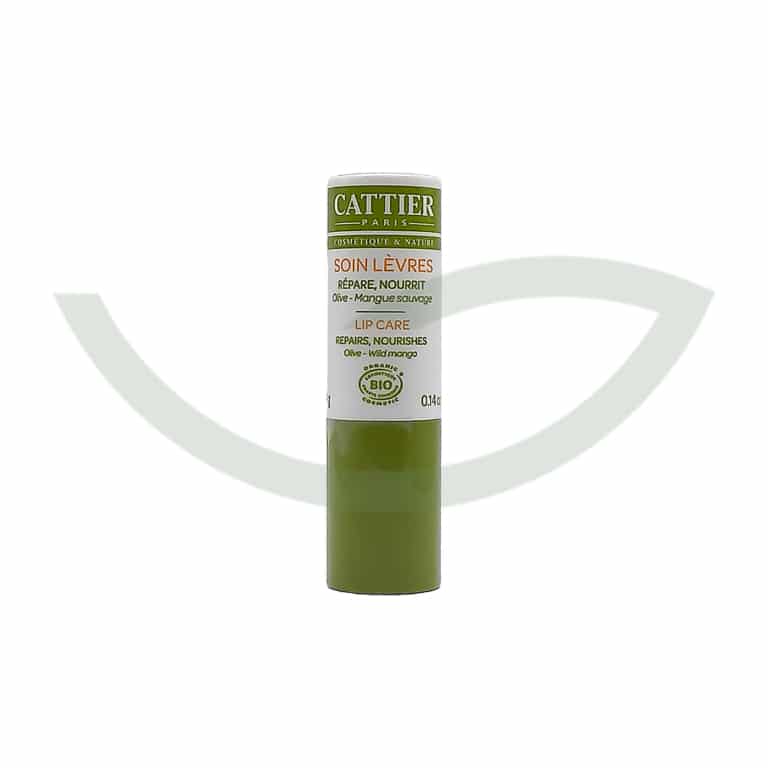 Soin Lèvres Nourrissant Bio 4g Cattier Baume à Lèvres Maroc Soin Lèvres Nourrissant Bio 4g Cattier Baume à Lèvres Maroc