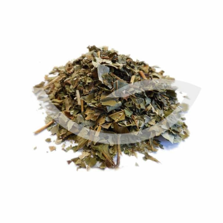 Plante Médicinale Frene Fraxinus Excelsior Feuille coupé qualité extra 100g anti inflammatoire Maroc Plante Médicinale Frene Fraxinus Excelsior Feuille coupé qualité extra 100g anti inflammatoire Maroc