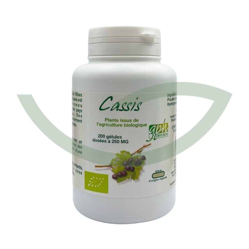 Cassis Bio 200 Gélules 250mg GPH Diffusion Confort Articulaire Maroc Avant