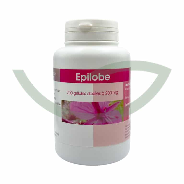 Epilobe 200 Gélules 200mg GPH Diffusion Confort Urinaire Maroc Avant Epilobe 200 Gélules 200mg GPH Diffusion Confort Urinaire Maroc Avant