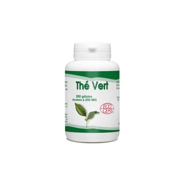 Thé vert bio 200 gélules 250mg GPH Diffusion minceur Maroc