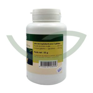 Boldo feuille 200 gélules 200mg GPH Diffusion Confort Digestif Maroc Boldo feuille 200 gélules 200mg GPH Diffusion Confort Digestif Maroc