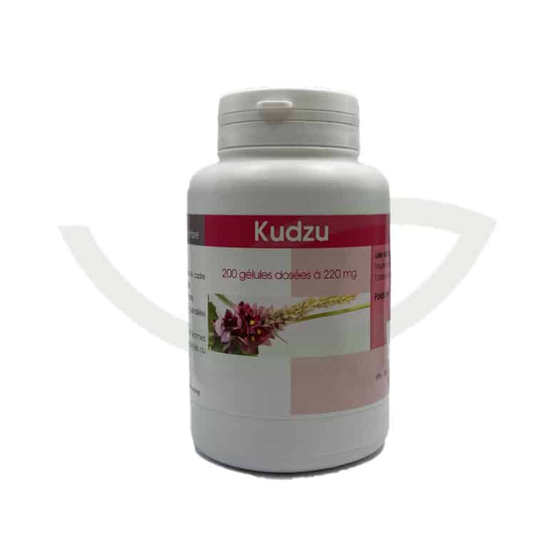 Kudzu 200 gélules 250mg GPH Diffusion anti-inflammatoire Maroc