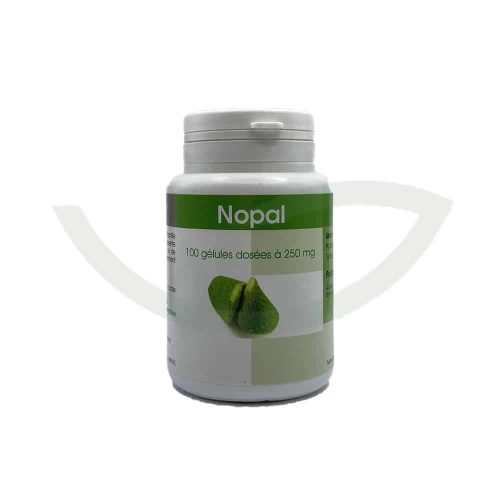 Nopal 100 gélules 250mg GPH Diffusion Coupe-faim Maroc
