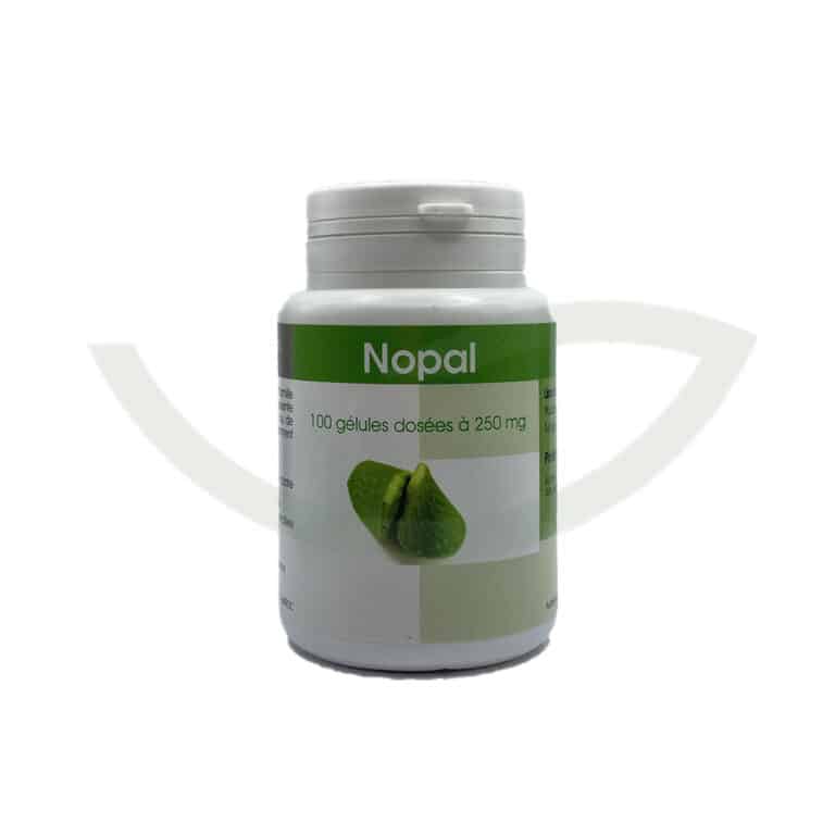 Nopal 100 gélules 250mg GPH Diffusion Coupe-faim Maroc