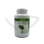 Nopal 200 gélules 250mg GPH Diffusion minceur Maroc