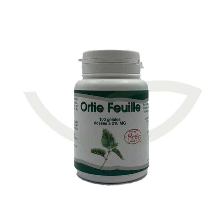 Ortie feuille 100 gélules 210mg GPH confort articulaire Maroc Ortie feuille 100 gélules 210mg GPH confort articulaire Maroc