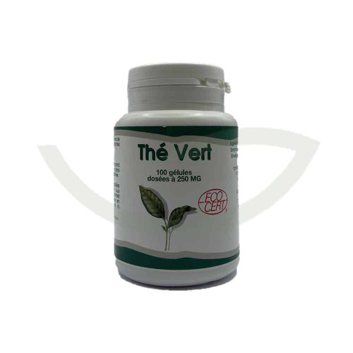 Thé vert 100 gélules 250mg GPH Diffusion Minceur Maroc Avant